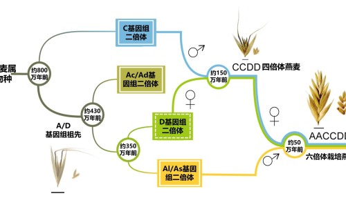 万邦非布司他片一粒多少mg-万邦药业非布司他说明书-万邦非布司他怎么样,中国江苏万邦非布司他的规格与价格网站
