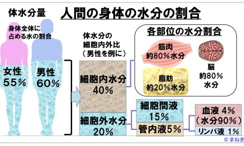 江苏万邦非布司他24价格-万邦药业非布司他说明书-万邦非布司他怎么样,中国江苏万邦非布司他的规格与价格网站